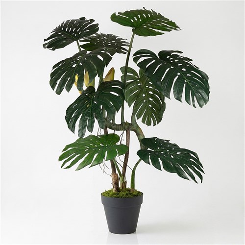 Yapay XL Monstera Ağacı 240cm - Çömlek Saksılı