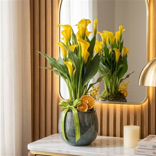 Yellow Gala (Premium Vazoda Sarı Gala)