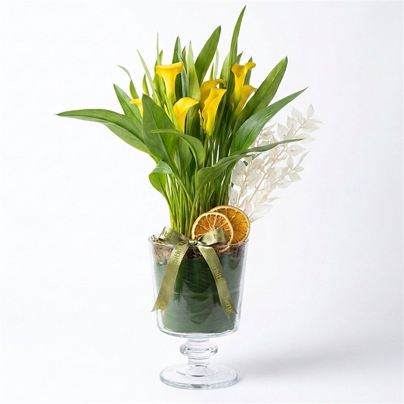 Yellow Calla Lily Arrangement in Glass Vase