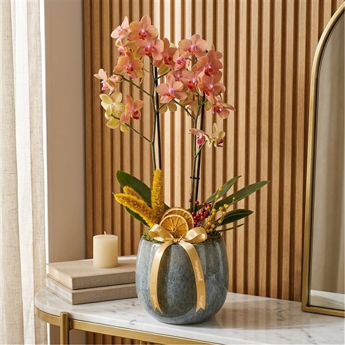 Premium Bloom Coral Orchids (Vazoda Ateş Orkide Aranjmanı)