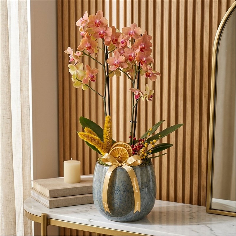 Premium Bloom Coral Orchids (Vazoda Ateş Orkide Aranjmanı)