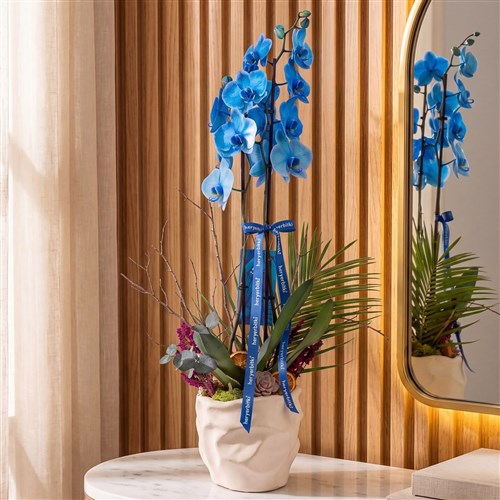 2 Dallı Mavi Orkide - 3D Premium Saksıda
