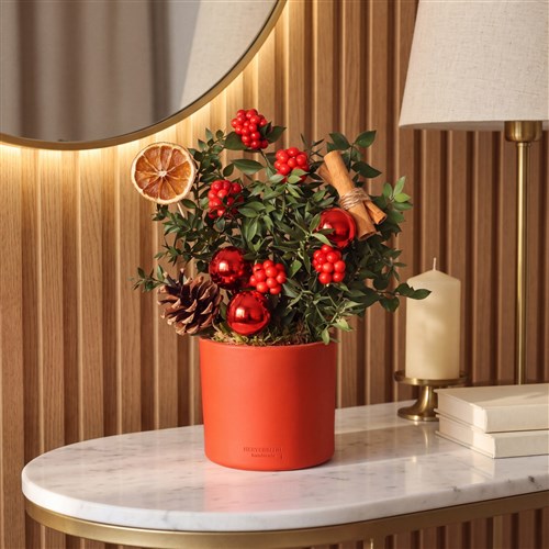 Very Merry 2 (Kırmızı Saksılı Kokina Aranjmanı)