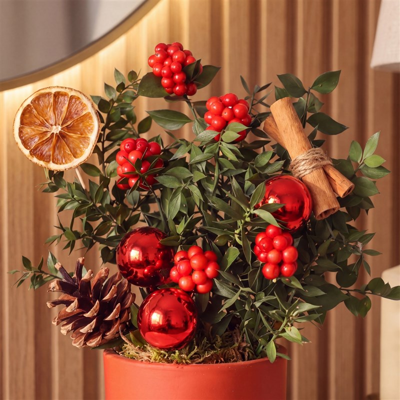 Very Merry 2 (Kırmızı Saksılı Kokina Aranjmanı)