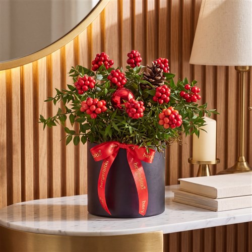 Round Kokina Gift (Kokina Çiçeği)