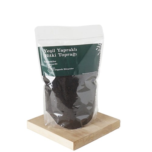 Green Leafy Plant Soil