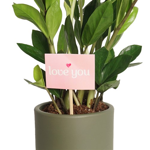 Love You Greeting Card