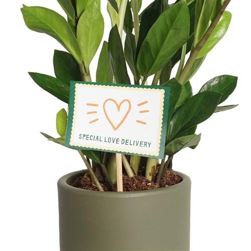 Special Love Delivery Greeting Card