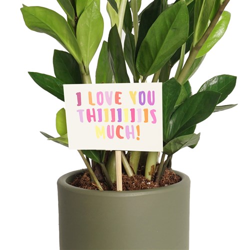 I Love This Much Greeting Card