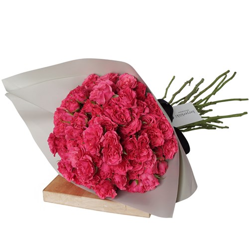 Infinite Pink Roses (Pembe Çardak Güller)