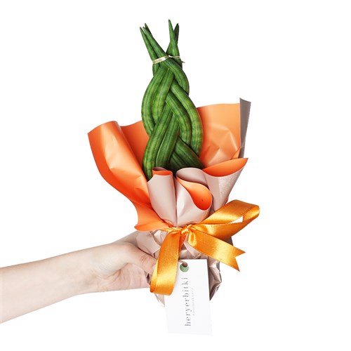 Örgülü Paşa Kılıcı - Hediye Paketli