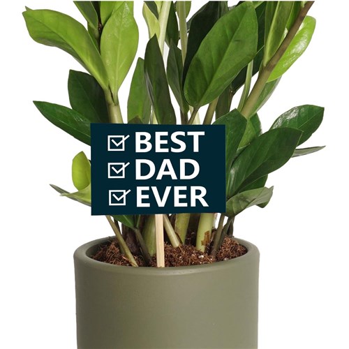 Best Dad Greeting Card