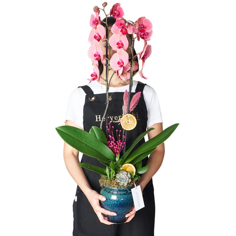 Premium Coral (Fire Orchid Arrangement in Ceramic Vase)