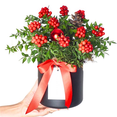 Round Kokina Gift (Kokina Çiçeği)