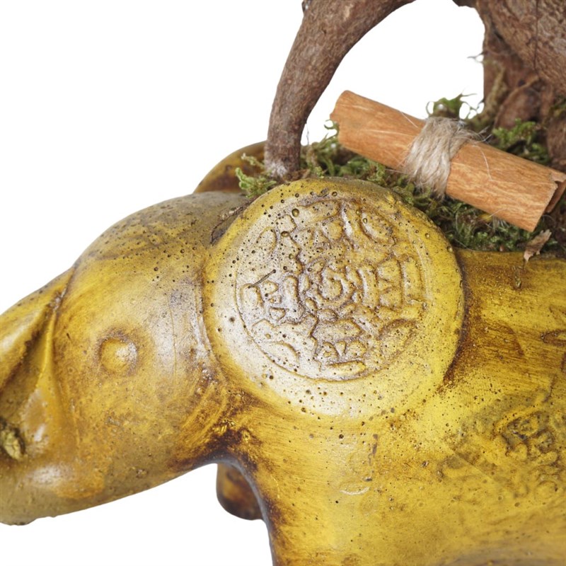 Şans Fili Bonsai Tasarımı (Lucky Charm)