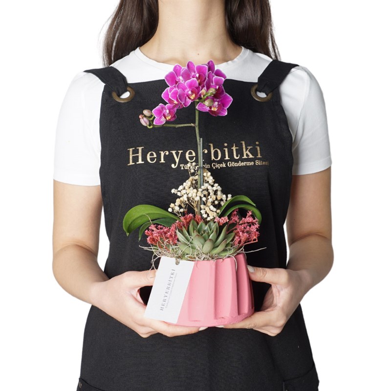 Purple Orchid Gift (Mor Orkide Aranjmanı)