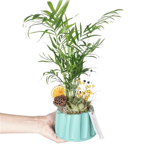 Sky Palm Gift (Palmiye Aranjmanı)