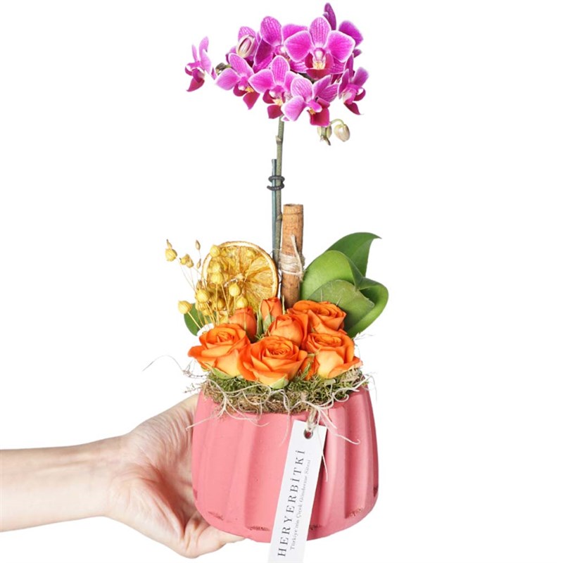 Blush Orchid Roses (Mor Orkide ve Güller Aranjmanı)