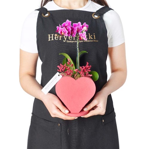 Love of My Life (Kalp Saksıda Mor Orkide Tasarımı)