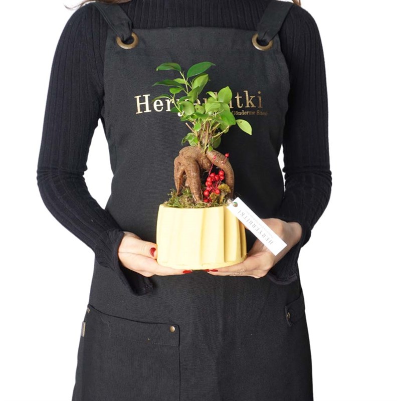 Bonsai Aranjmanı - Sarı Saksıda (Harmony Gift)