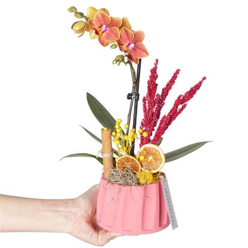 Sweetest Coral Gift (Ateş Orkide Aranjmanı)