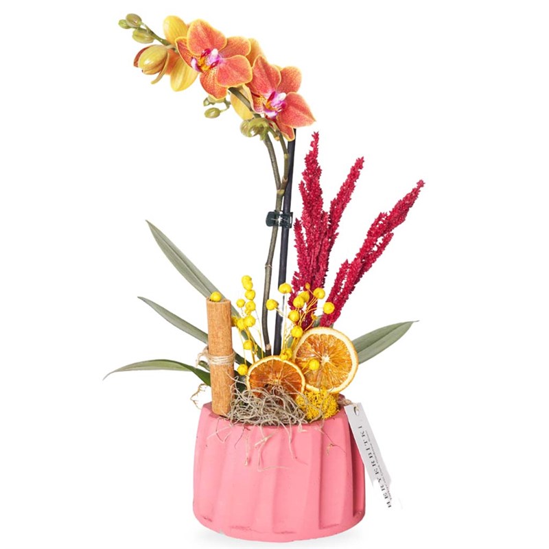 Sweetest Coral Gift (Ateş Orkide Aranjmanı)