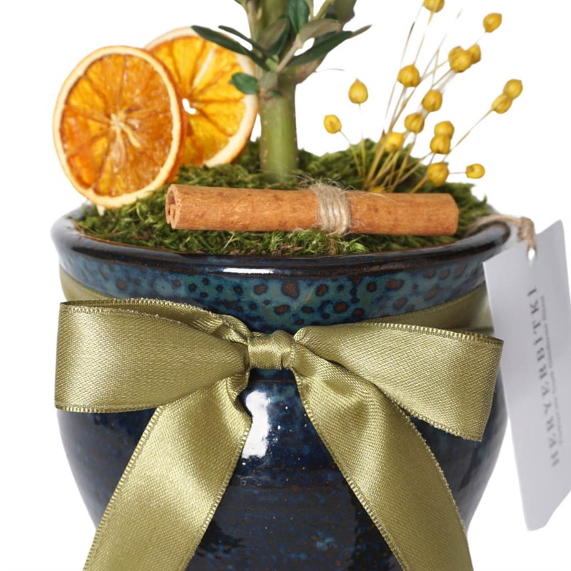 Premium Vazoda Zeytin Ağacı Aranjmanı