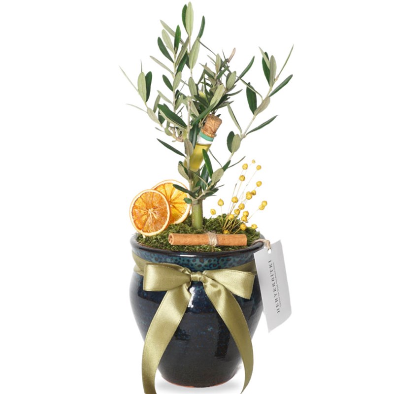 Premium Vazoda Zeytin Ağacı Aranjmanı