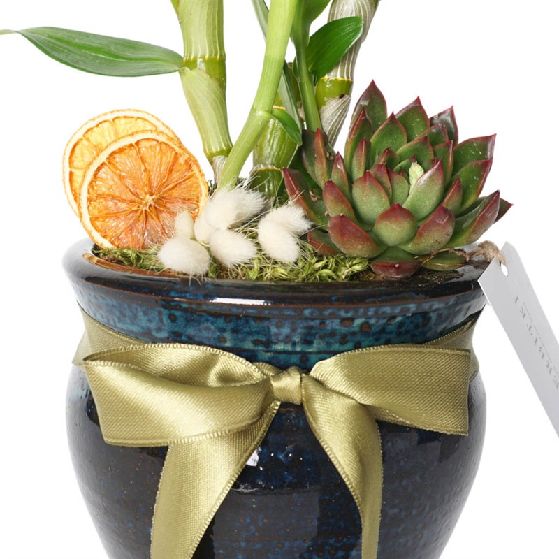 Premium White Dendrobium Arrangement in a Vase