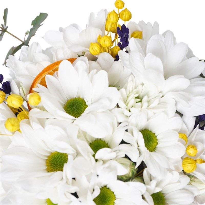 Yellow Daisy Gift (Beyaz Papatya Aranjmanı)
