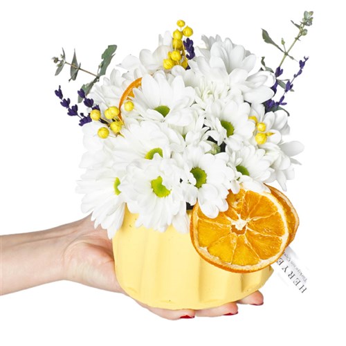 Yellow Daisy Gift (Beyaz Papatya Aranjmanı)