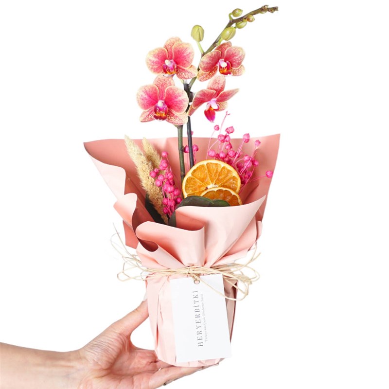 Coral Beauty (Fire Orchid Arrangement)