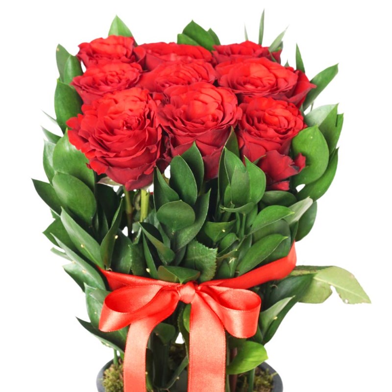Pure Love (Arrangement of Red Roses)