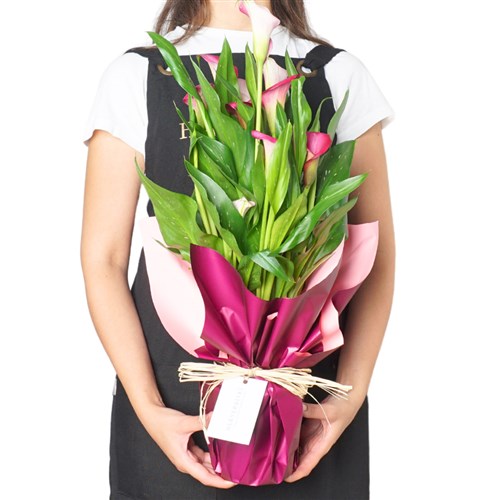 Superior Pink Gala Gift (Pembe Gala Çiçeği)