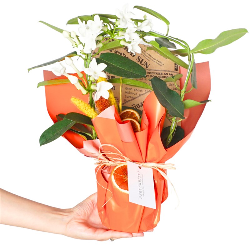 Yasmin Floral Gift (Packaged Jasmines)