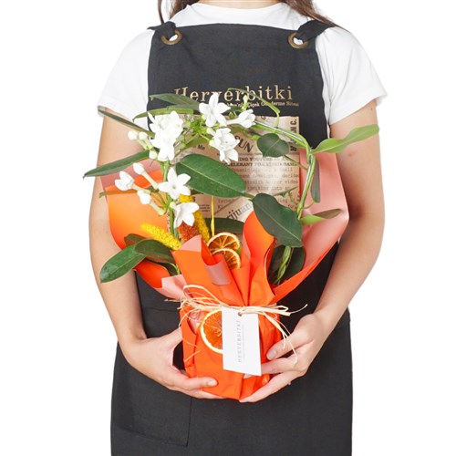 Yasmin Floral Gift (Paketli Yasemin Çiçeği)