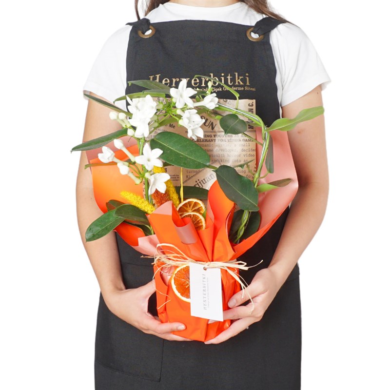 Yasmin Floral Gift (Packaged Jasmines)