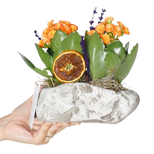 Orange Flower of Kalanchoe Arrangement