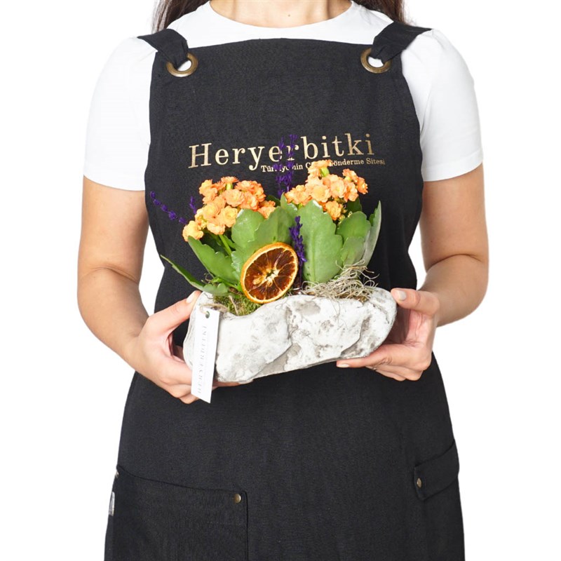 Orange Flower Of Kalanchoe (Turuncu Çiçekli Kalanşo Aranjmanı)