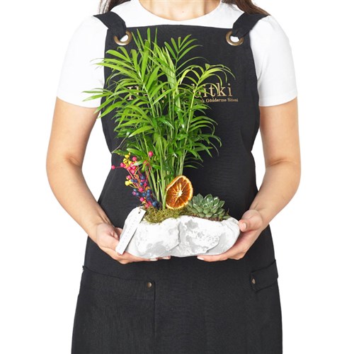 Palm Garden (Palm Tree Arrangement)