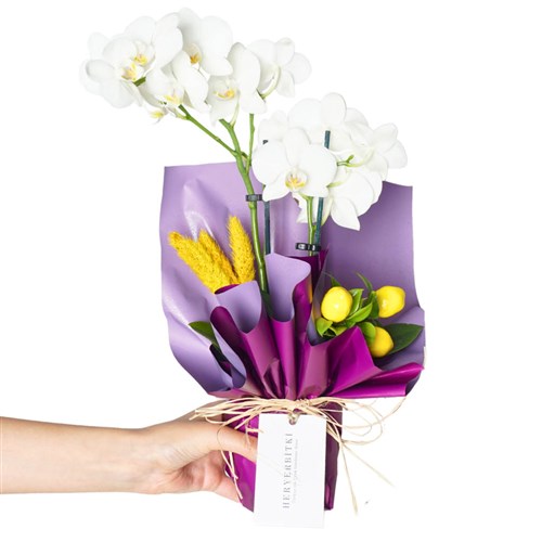 White Lemon Orchid (Beyaz 2 Dallı Orkide Aranjmanı)