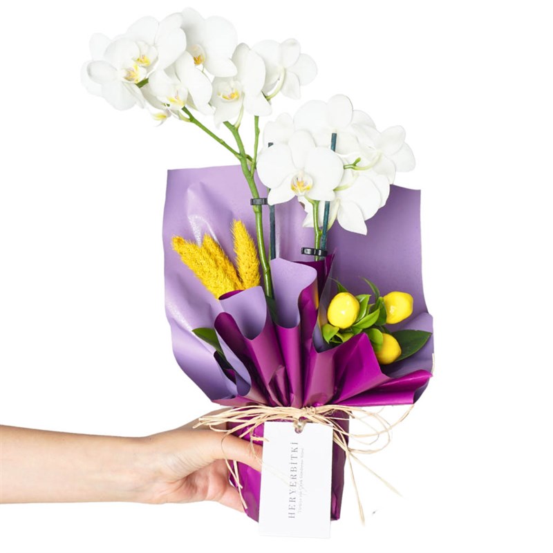 White Lemon Orchid (White 2-Stem Orchid Arrangement)