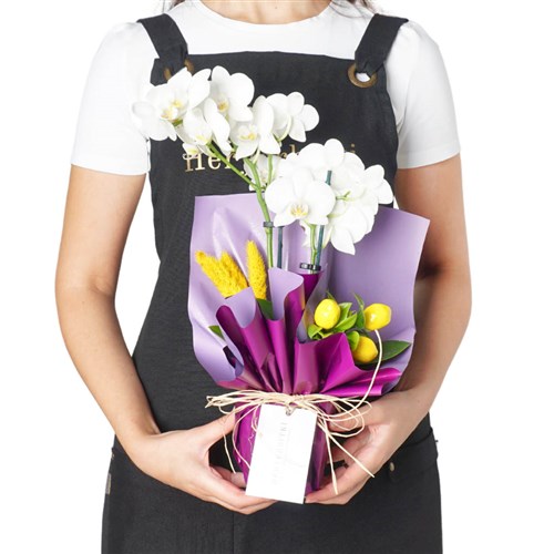 White Lemon Orchid (Beyaz 2 Dallı Orkide Aranjmanı)