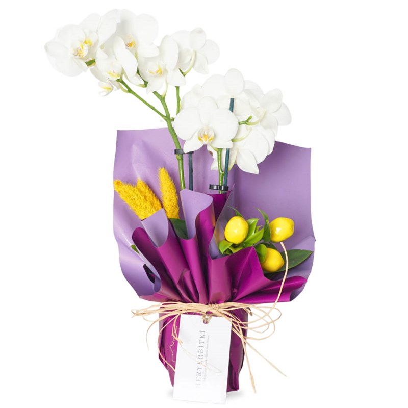 White Lemon Orchid (White 2-Stem Orchid Arrangement)