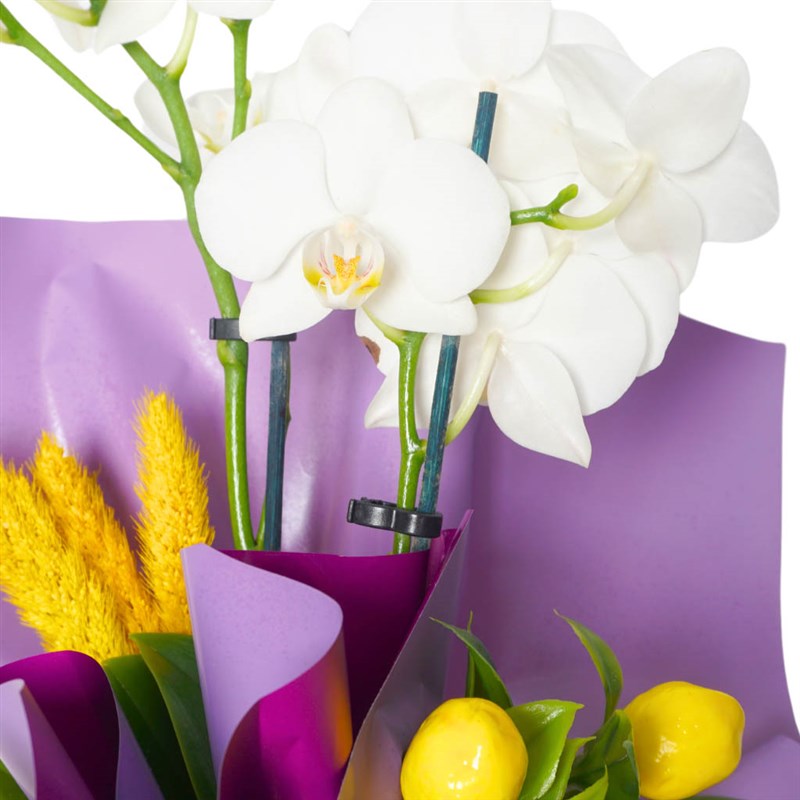 White Lemon Orchid (White 2-Stem Orchid Arrangement)