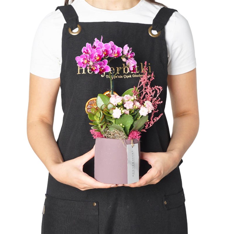 Purple Orchid Garden (Purple Orchid & Kalanchoe Arrangement)