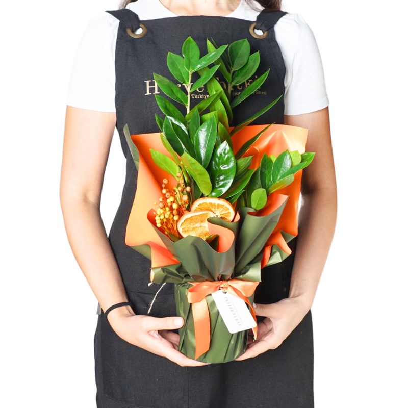 Zamioculcas Gift (Hediye Paketli Zamia Çiçeği)