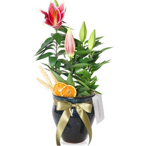 Lilyum Çiçeği - Premium Vazoda, Kokulu