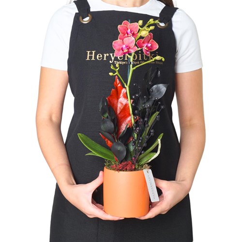 Magical Orange (Fire Orchid Arrangement)