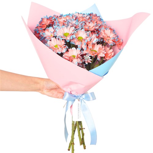 Rainbow Daisies (Gökkuşağı Papatyaları)